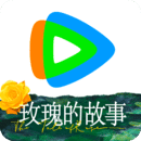 大长腿的动物什么生肖